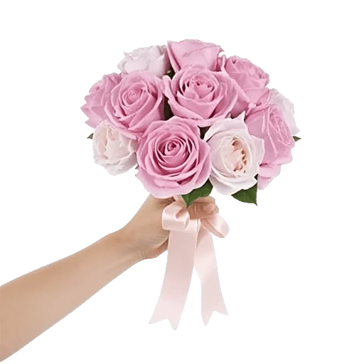Peony Petal Harmony