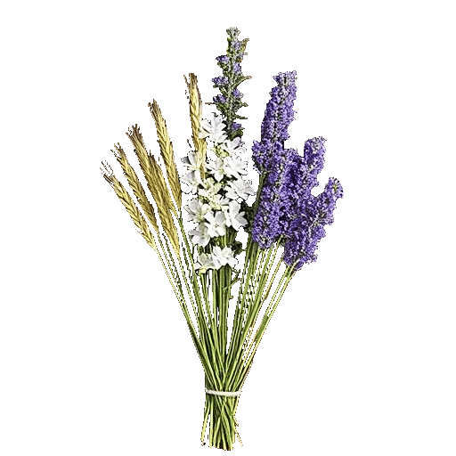 Radiant Bloom Cascade