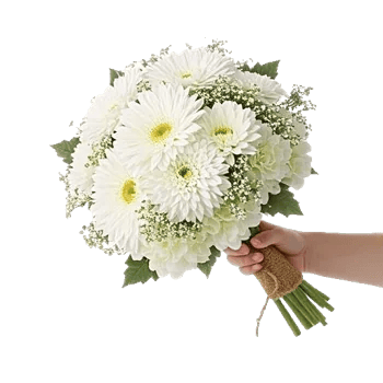 Ivory Garden Grace