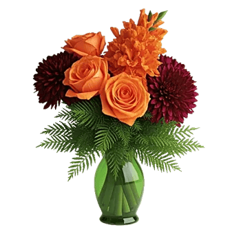 Petal Radiance Bliss