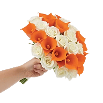 Elegant Calla Lilies