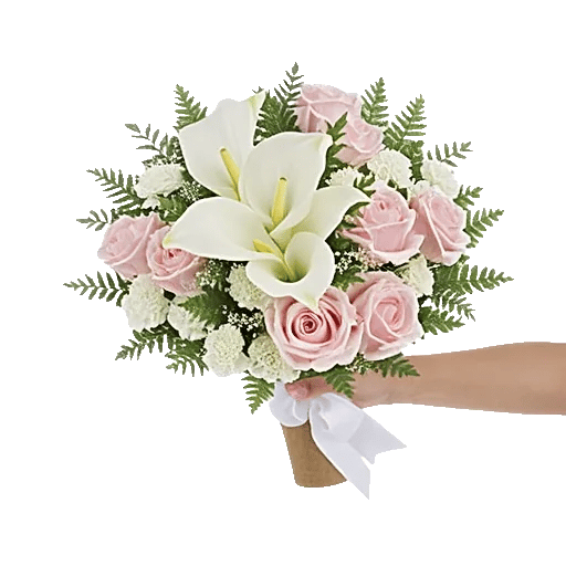 Elegant Calla Lilies