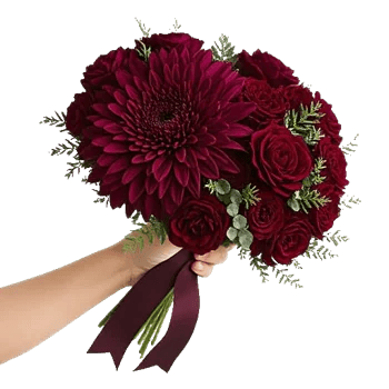 Deep Red Foliage