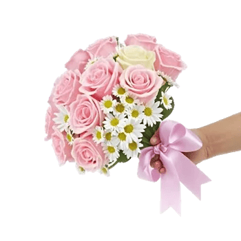Pink Pastel Roses