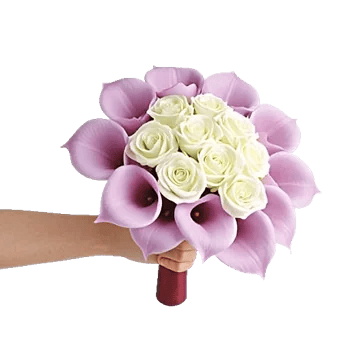 Elegant Calla Lilies