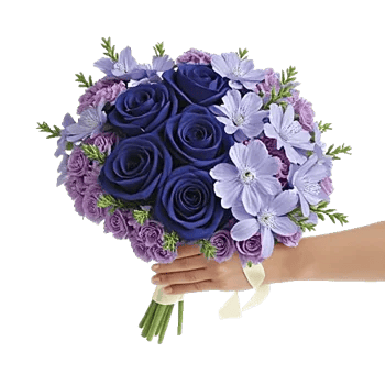 Elegant Blue Roses