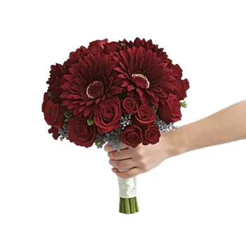 Ruby Petal Cascade