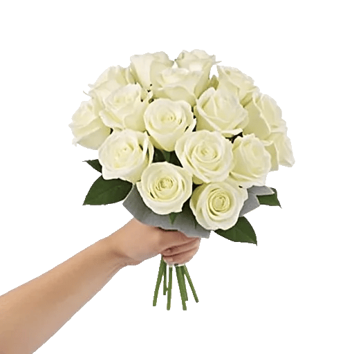 Ivory Garden Grace