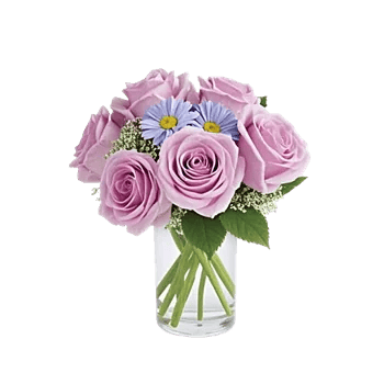 Lavender Bloom Grace