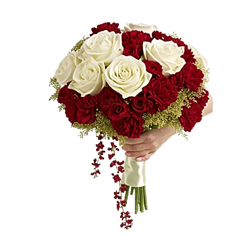 Delicate Petal Cascade