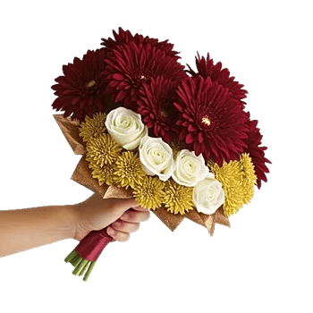 Regal Burgundy Display