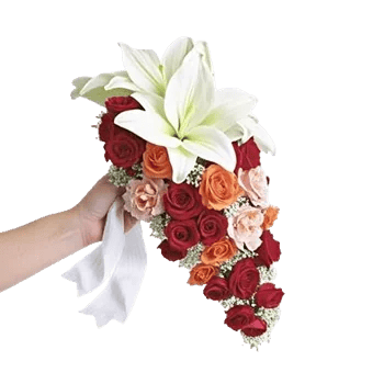 Delicate Petal Cascade