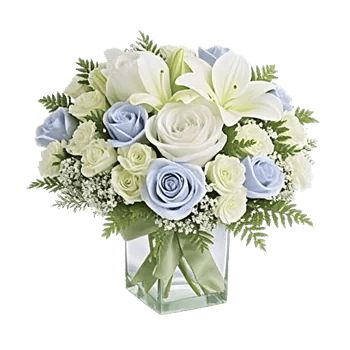 Ivory Blossom Radiance