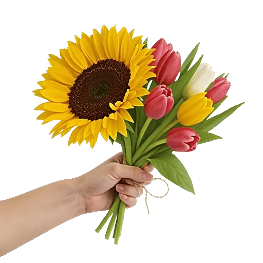 Twinkling Sunflower Dance