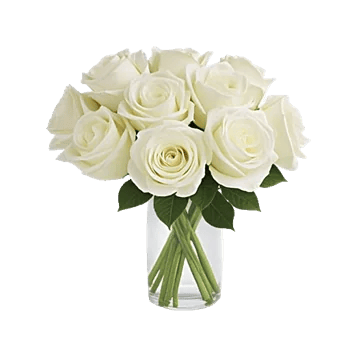 Radiant Rose Symphony