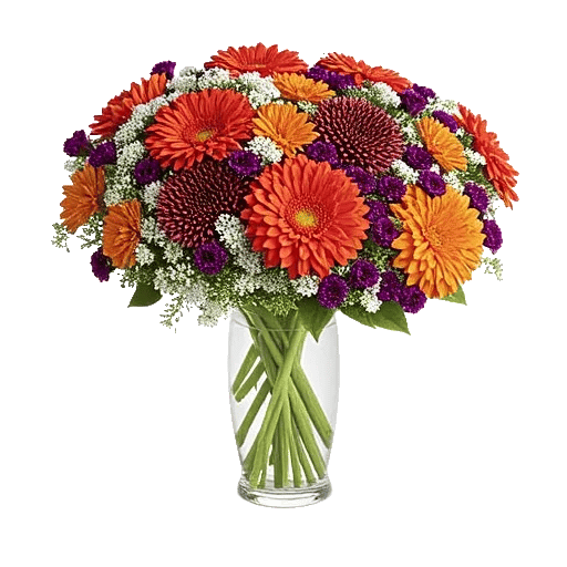 Ivory Blossom Radiance