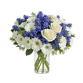 Ivory Blossom Radiance