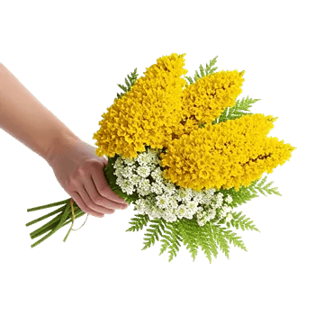 Blossom Harmony Display