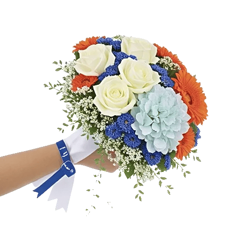 Serene Petal Harmony