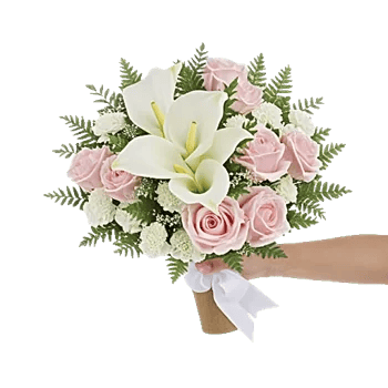 Elegant Calla Lilies