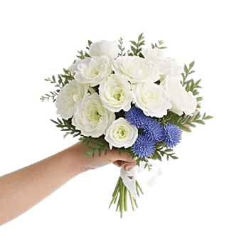 Delicate Petal Cascade