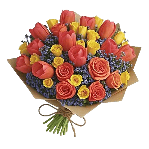 Coral Blossom Harmony