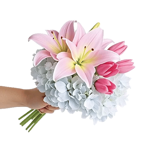 Blossom Harmony Display