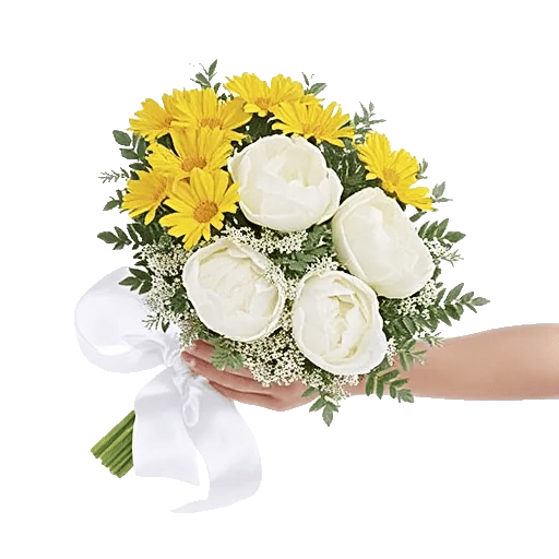 Enchanting Daisy Garden