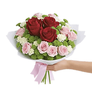 Crimson Rose Elegance