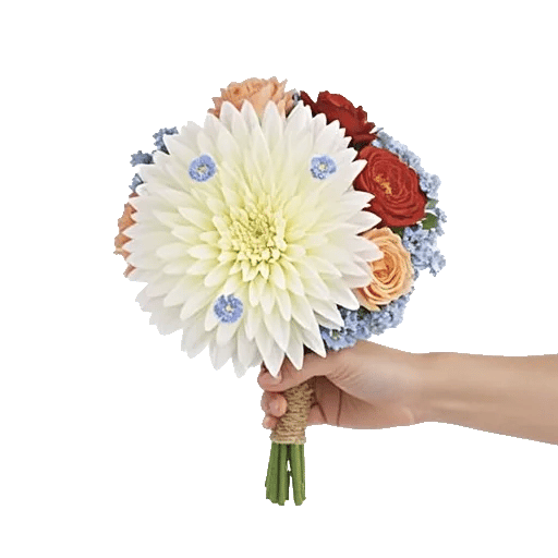 Delicate Petal Cascade