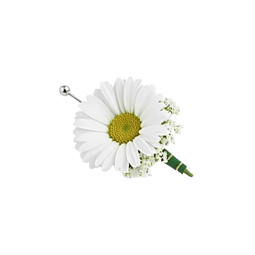 Blossom Petal Serenity