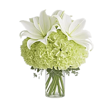 Graceful Lily Display