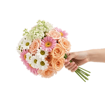 Blossom Harmony Display