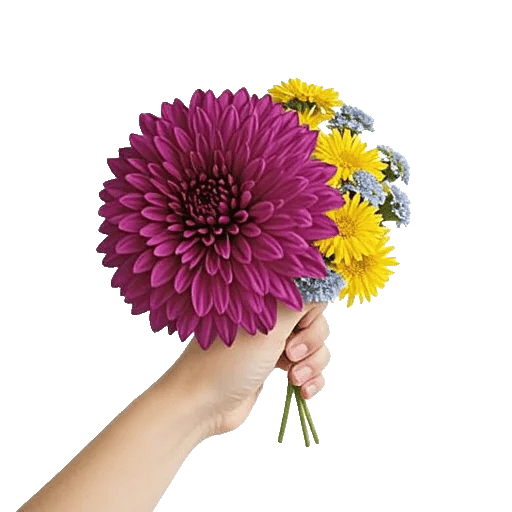 Crimson Blossom Harmony