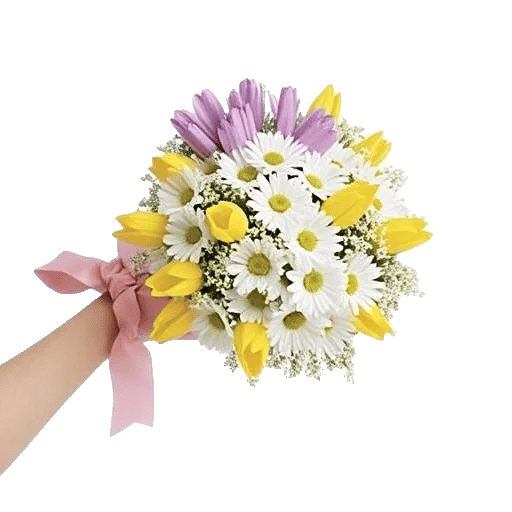 Blossom Harmony Display