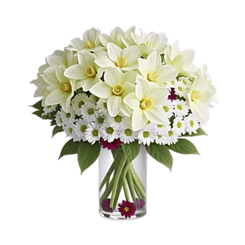 Ivory Blossom Radiance