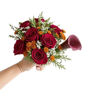 Crimson Rose Elegance