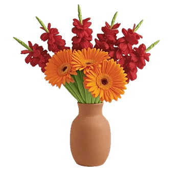 Radiant Petal Display