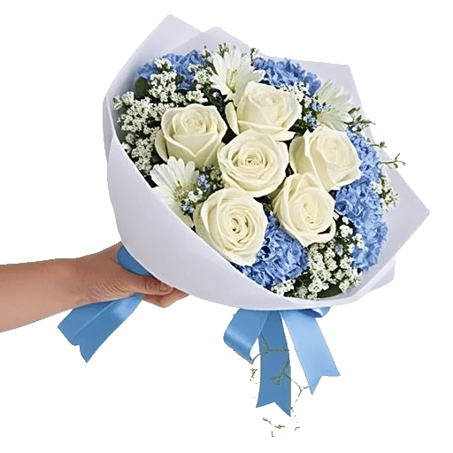 Serene Petal Harmony