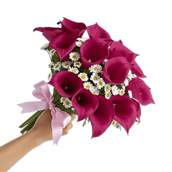 Elegant Calla Lilies