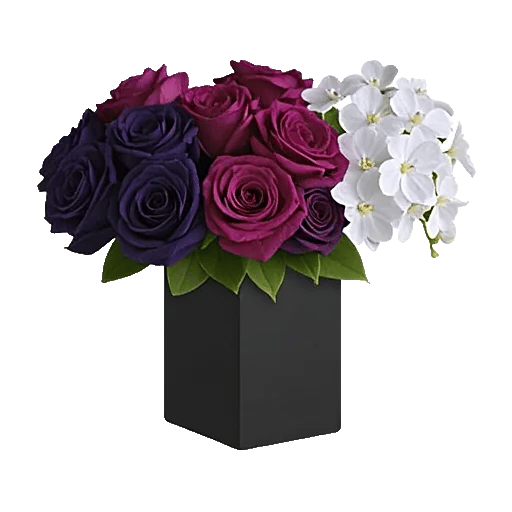 Modern White Orchids