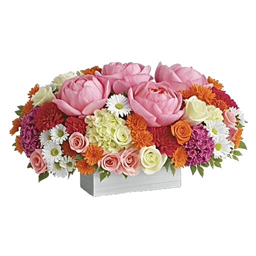 Petal Radiance Bliss