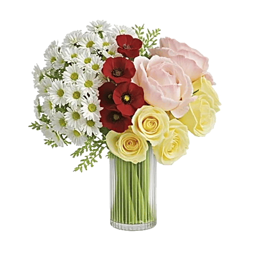 Ivory Blossom Radiance