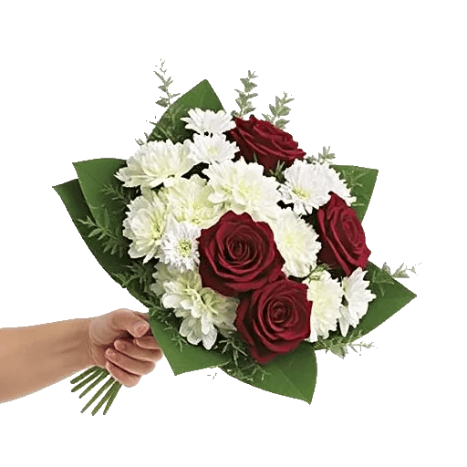 Crimson Rose Elegance