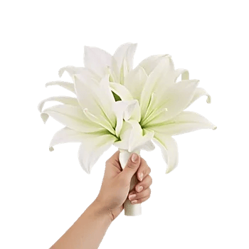 Graceful Lily Display