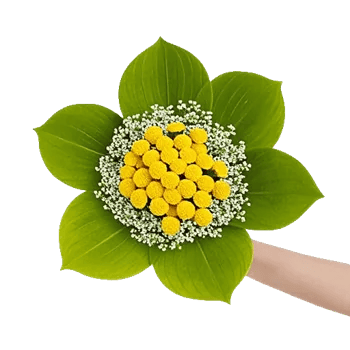 Blossom Radiant Whisper