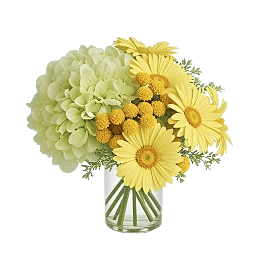 Ivory Blossom Radiance