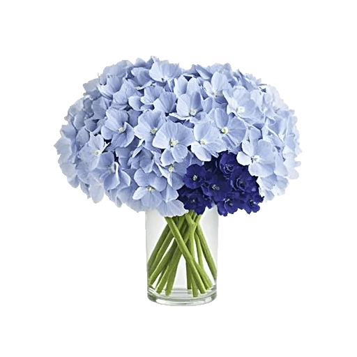 Sapphire Bloom Whisper