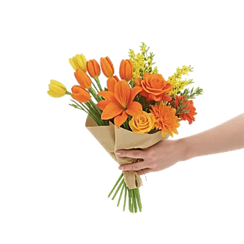 Blossom Harmony Display