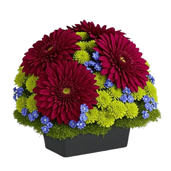 Crimson Blossom Harmony